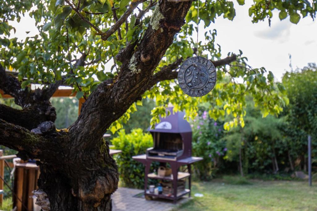 Toscana Da Sogno A Villa Allegria Siena Eksteriør bilde